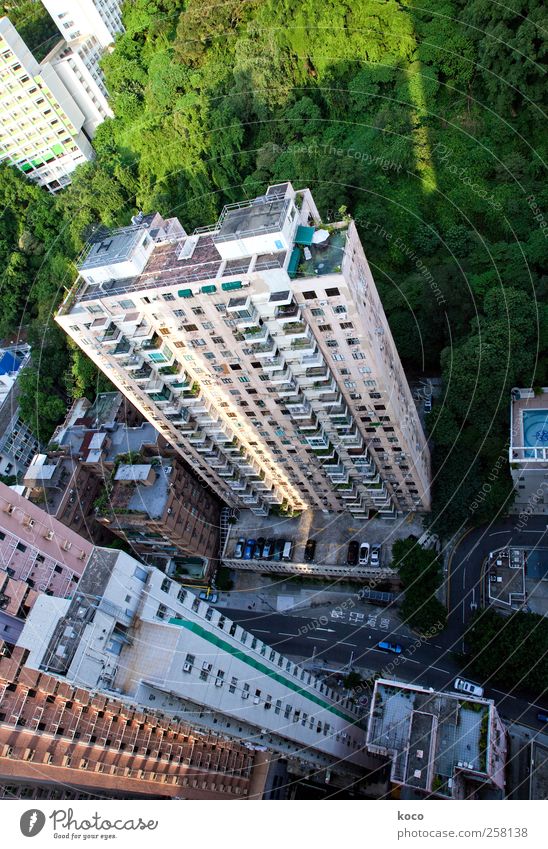 Springen? Oder nicht springen? Sommer Schönes Wetter Hongkong Asien Hauptstadt Stadtzentrum Skyline Hochhaus Mauer Wand Fenster Straßenverkehr Beton Glas eckig