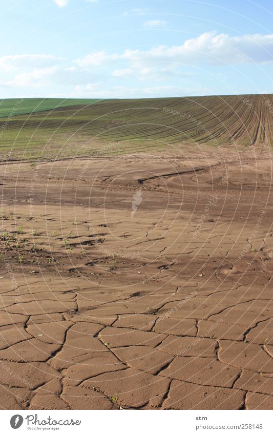 wasser ! Umwelt Natur Landschaft Pflanze Urelemente Erde Wasser Himmel Wolken Horizont Sonnenlicht Sommer Klima Klimawandel Schönes Wetter Nutzpflanze Feld