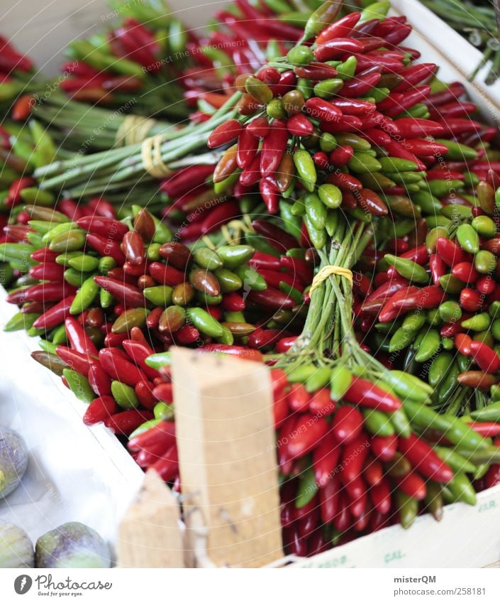 Pure Hotness. Lifestyle ästhetisch kulinarisch Scharfer Geschmack rot feurig Würzig Kräuter & Gewürze Gewürzladen Chili Chiliernte frisch Gesundheit Auswahl