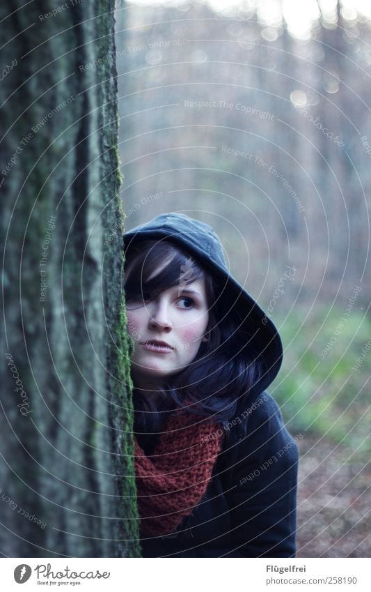 Dahinter feminin Junge Frau Jugendliche 1 Mensch 18-30 Jahre Erwachsene beobachten Wald Baum Natur Einsamkeit Schal Kapuze Angst kalt Märchen Haare & Frisuren