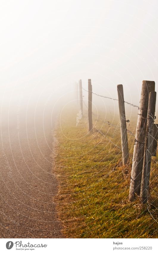 Nebel im Herbst Umwelt Natur Landschaft Klima Wetter Feld Wege & Pfade ästhetisch trist braun grau Nebelbank weiß Zaun Perspektive Winter unsichtbar Farbfoto