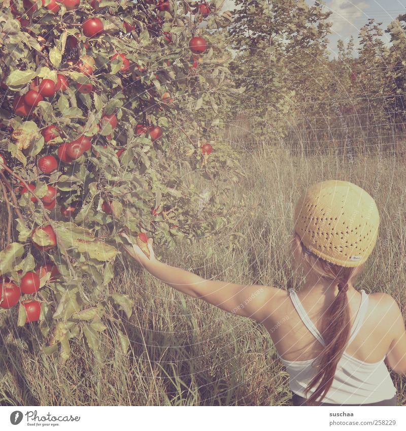 mehr vom sommerkind Mädchen Kindheit Haut Kopf Haare & Frisuren Rücken Arme 3-8 Jahre Umwelt Natur Sommer Klima Baum Gras Garten Wiese Neugier Apfel Apfelbaum