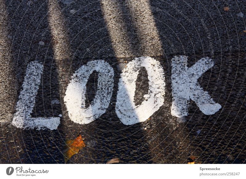 LOOK Verkehrswege Straßenverkehr Fußgänger Wege & Pfade Wegkreuzung Verkehrszeichen Verkehrsschild Stein Zeichen Schriftzeichen Schilder & Markierungen