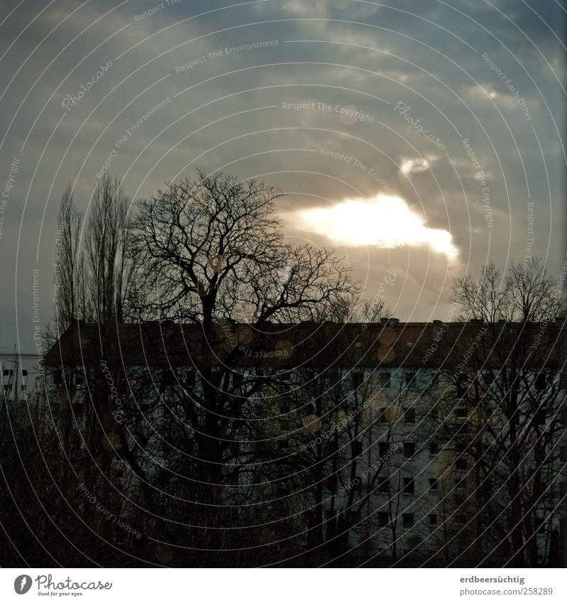 Aussicht ruhig Himmel Wolken Winter Baum Stadt Stadtzentrum Haus Gebäude Wohnhaus Reihenhaus Fenster Stein Beton leuchten kalt trist grau Stimmung Einsamkeit