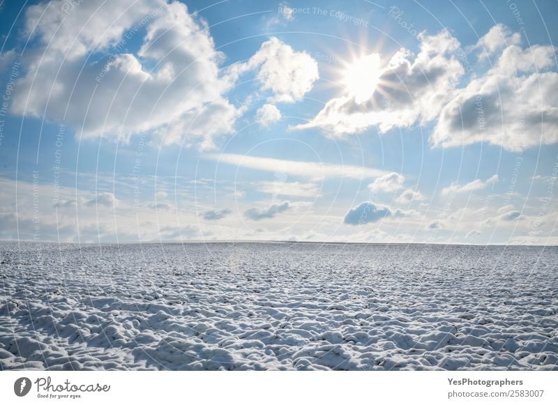 Unendliches Schneefeld und sonniger Himmel ruhig Winter Natur Landschaft Horizont Schönes Wetter Wiese Unendlichkeit hell natürlich weiß Februar Deutschland