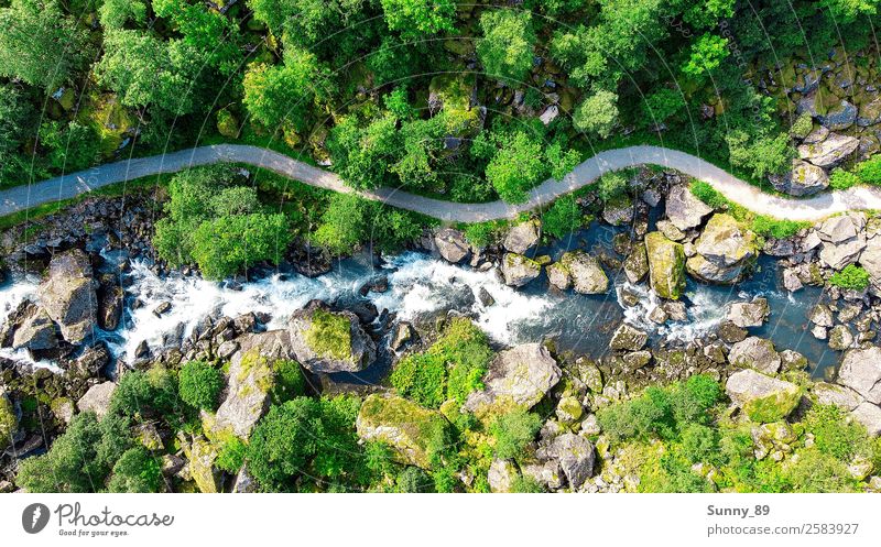 Nature Umwelt Landschaft Pflanze Tier Erde Wasser Sonne Sommer Schönes Wetter Baum Gras Park Wiese Wald Gipfel Gletscher Flussufer Wasserfall entdecken gehen