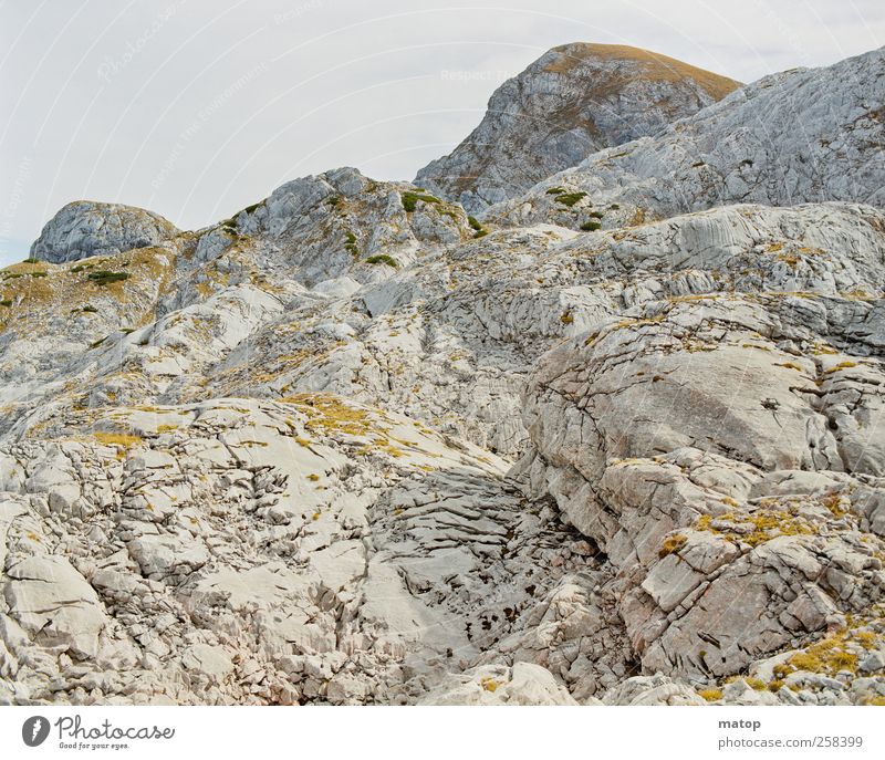 Hundstodgatterl Natur Landschaft Herbst Dürre Hügel Felsen Alpen Berge u. Gebirge Berchtesgadener Alpen Watzmann Gipfel Stein ästhetisch Umwelt Farbfoto