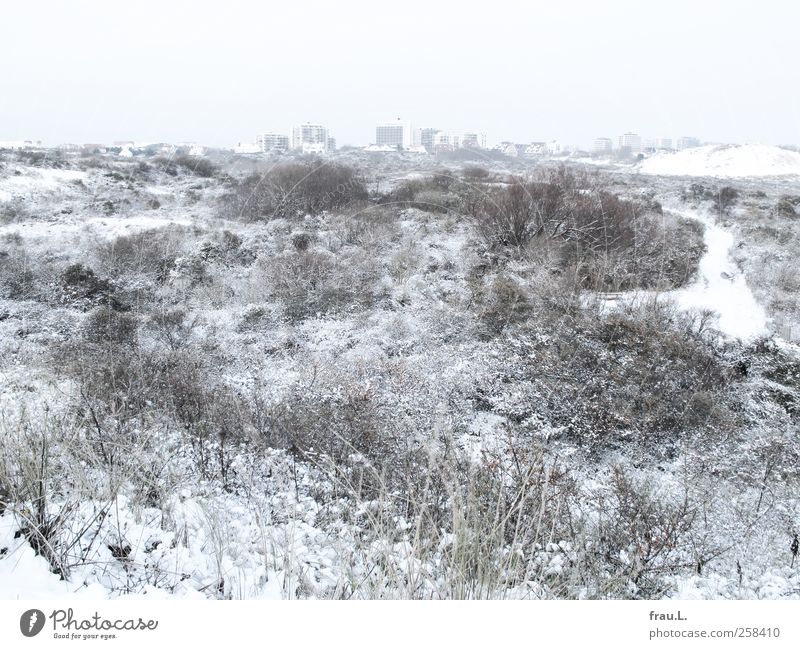 Flämische Sahara Ferien & Urlaub & Reisen Strand Meer Winterurlaub Landschaft Schnee Küste Nordsee De Panne Belgien Haus Hochhaus Stadt Tourismus Zerstörung