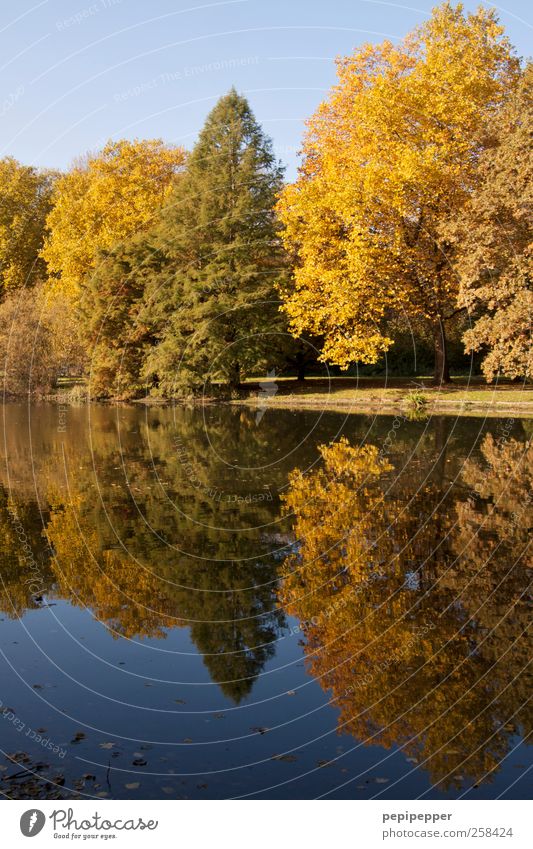 Indian summer Angeln Ferien & Urlaub & Reisen Tourismus Ausflug wandern Natur Landschaft Pflanze Erde Wasser Himmel Wolkenloser Himmel Baum Park Wiese Wald