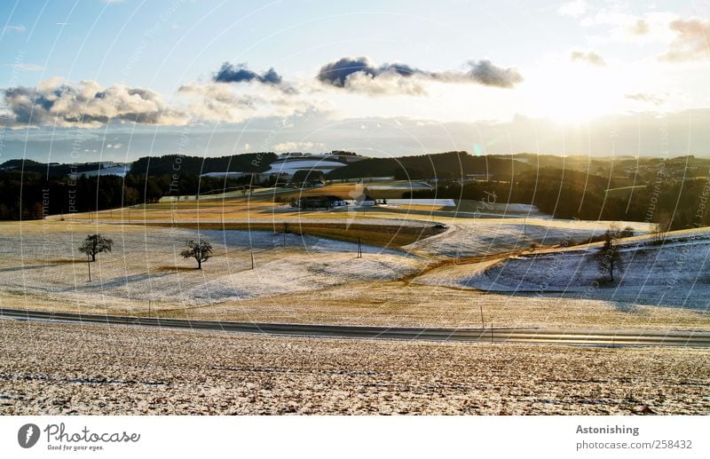 alles Gegend Umwelt Natur Landschaft Pflanze Erde Luft Himmel Wolken Sonne Winter Klima Wetter Schönes Wetter Schnee Wärme Baum Wiese Feld Wald Hügel Haus