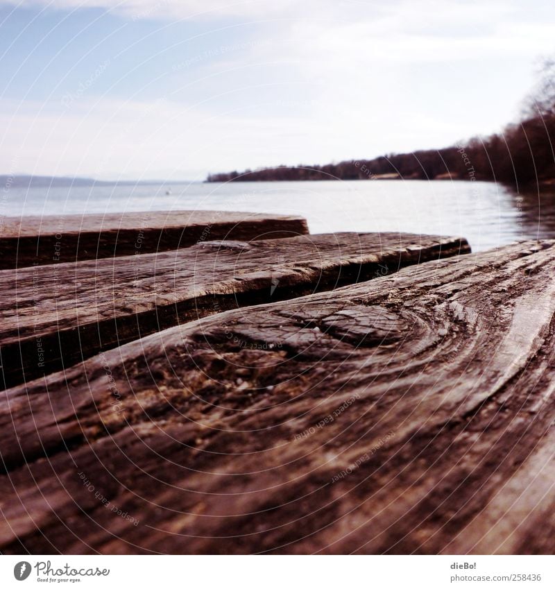 Ammersee Umwelt Natur Wasser Sommer Seeufer "Steg Holzsteg" Erholung erleben Ferien & Urlaub & Reisen Freiheit Freizeit & Hobby Idylle Pause Perspektive