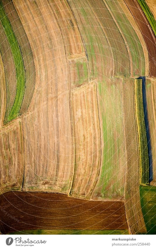 erdfarben Umwelt Natur Landschaft Pflanze Tier Urelemente Erde Herbst Gras Sträucher Nutzpflanze Landwirtschaft Feld Ernte Erntedankfest Agrarprodukt Wiese