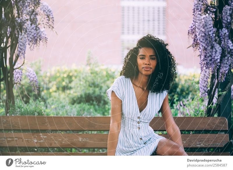 Fröhliche junge schwarze Frau, die von Blumen umgeben sitzt. Lifestyle Glück schön Erholung Sommer Garten Dekoration & Verzierung Erwachsene Natur Baum Blüte