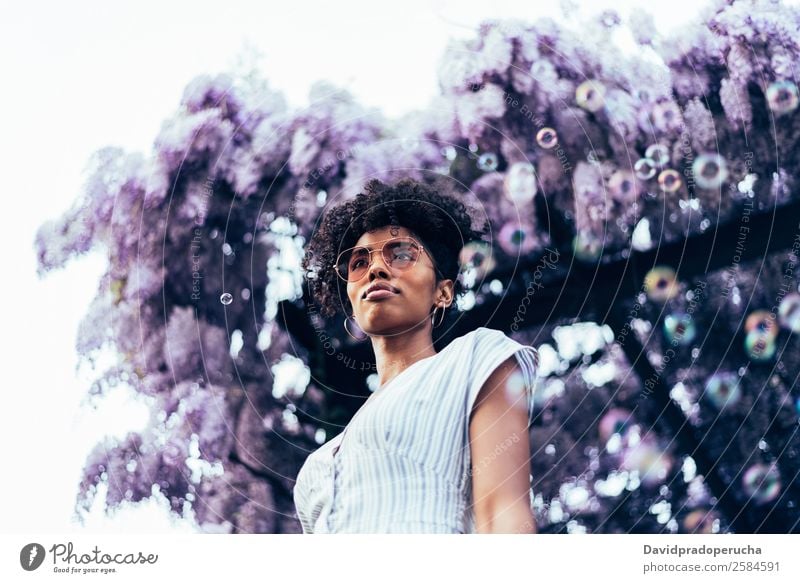 Fröhliche junge schwarze Frau, umgeben von Blumen. Lifestyle Glück schön Erholung Sommer Garten Erwachsene Natur Baum Blüte Kleid Sonnenbrille Lächeln