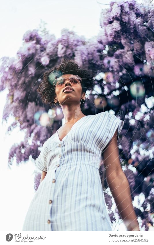 Fröhliche junge schwarze Frau, umgeben von Blumen. Lifestyle Glück schön Erholung Sommer Garten Mensch feminin Erwachsene Natur Baum Blüte Kleid Sonnenbrille