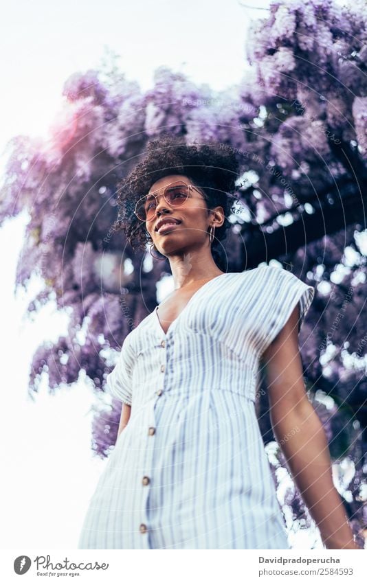 Fröhliche junge schwarze Frau, umgeben von Blumen. Lifestyle Glück schön Erholung Sommer Garten Erwachsene Natur Baum Blüte Kleid Sonnenbrille Lächeln