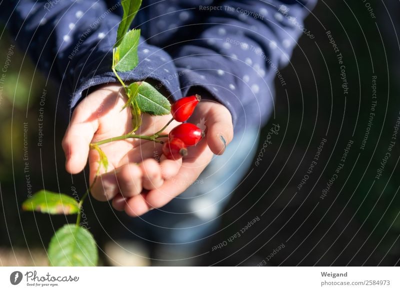 Rotgold Bioprodukte Zufriedenheit Sinnesorgane ruhig Meditation Kind Kleinkind Mädchen Kindheit Hand 1 Mensch träumen glänzend grau rot Vertrauen Schutz