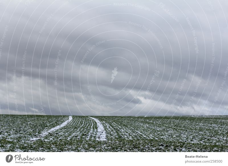 Bis ans Ende der Welt Umwelt Natur Landschaft Himmel Wolken Winter Wetter schlechtes Wetter Regen Eis Frost Schnee Feld Straße Bewegung fahren gehen laufen