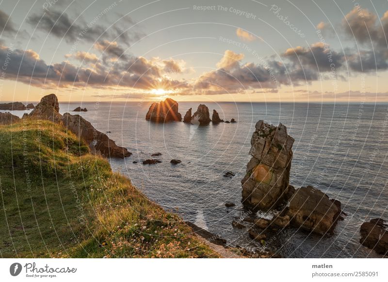 letztes Blinzeln Natur Landschaft Pflanze Himmel Wolken Horizont Sonnenaufgang Sonnenuntergang Sommer Schönes Wetter Gras Felsen Küste Strand Riff Meer