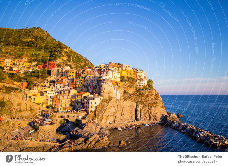 Manarola Landschaft Dorf Fischerdorf blau mehrfarbig gelb gold Meer Italien Cinque Terre Hügel Aussicht Klippe Reisefotografie Ferien & Urlaub & Reisen