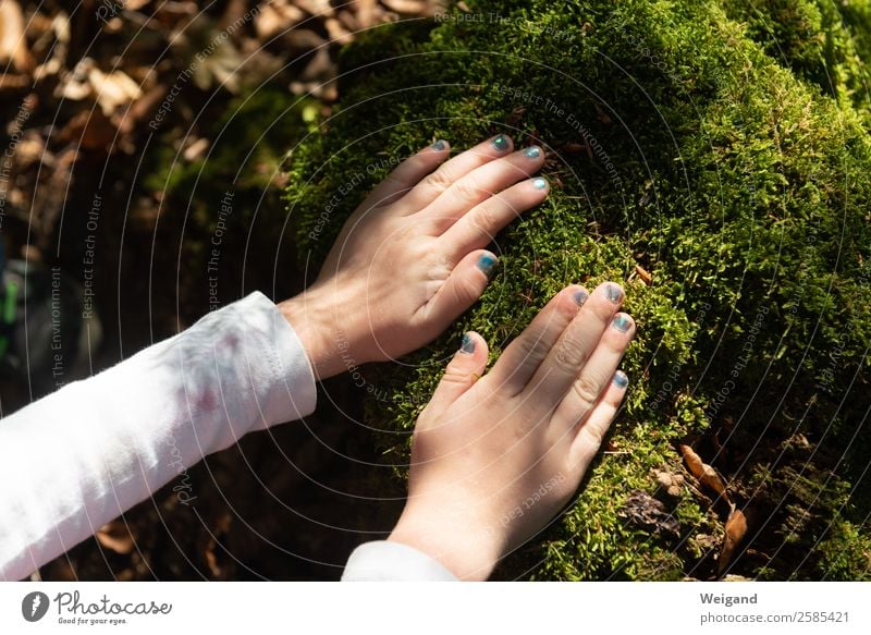 Waldspaziergang Sinnesorgane Erholung ruhig Meditation Kindergarten Kleinkind Kindheit Hand 1 Mensch 1-3 Jahre 3-8 Jahre Holz frisch Gesundheit grün Gefühle