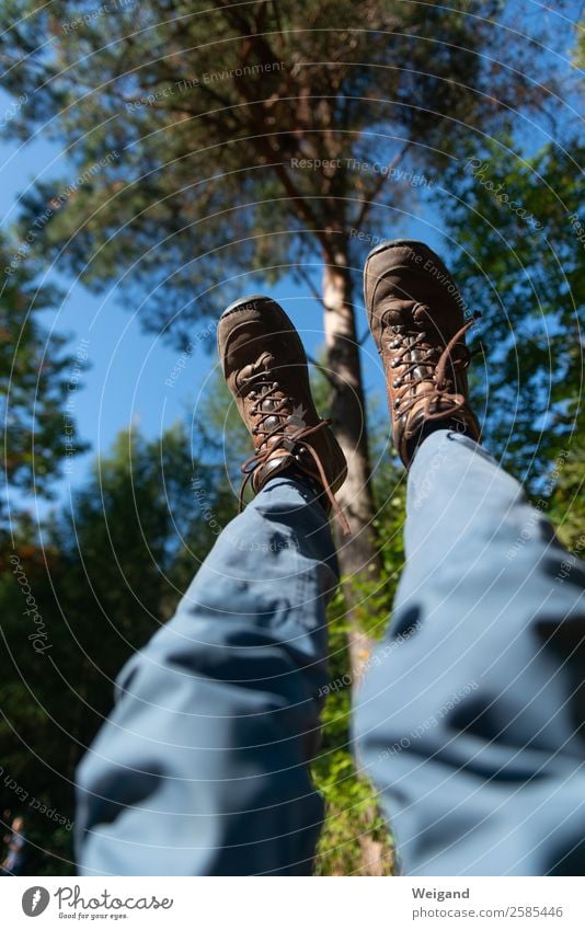 Wanderhimmel II Gesundheit Sinnesorgane Erholung ruhig Freizeit & Hobby Sport wandern Fuß Himmel Schönes Wetter Baum Wald Alpen Berge u. Gebirge laufen liegen