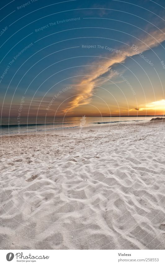 would like to be there Umwelt Erde Sand Wasser Himmel Wolken Horizont Sonne Sonnenaufgang Sonnenuntergang Sonnenlicht Sommer Schönes Wetter Küste Strand Meer