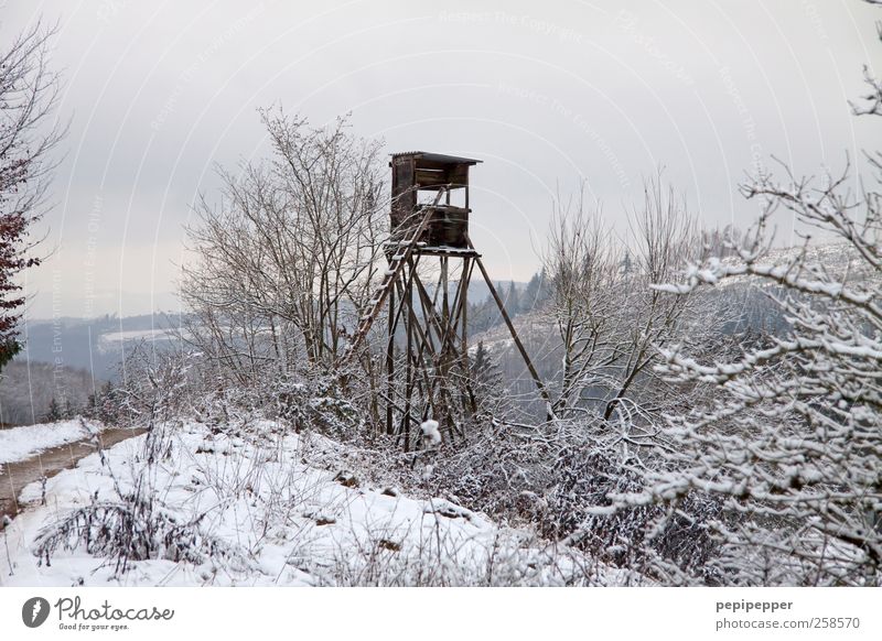 Waidmanns Heil! Freizeit & Hobby Jagd Ferne Freiheit Winter Haus Landwirtschaft Forstwirtschaft Leiter Landschaft Pflanze Erde Wald Hochsitz kalt Jagdstand Tag