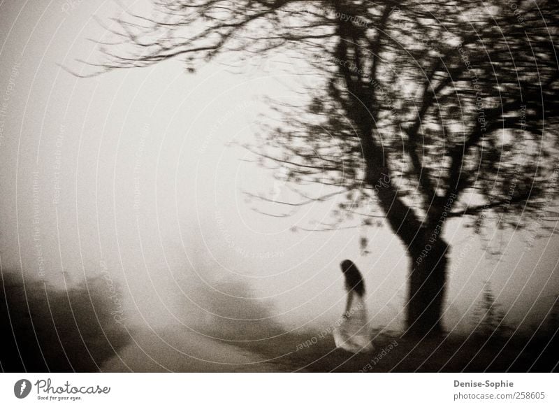 Nebel feminin Junge Frau Jugendliche Landschaft Herbst schlechtes Wetter Baum Wiese Feld Kleid brünett langhaarig Denken gehen laufen träumen Traurigkeit