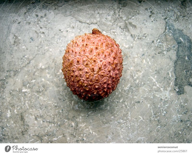 Alien Obst Makroaufnahme lecker vitaminreich Frucht Schalen & Schüsseln Stachel