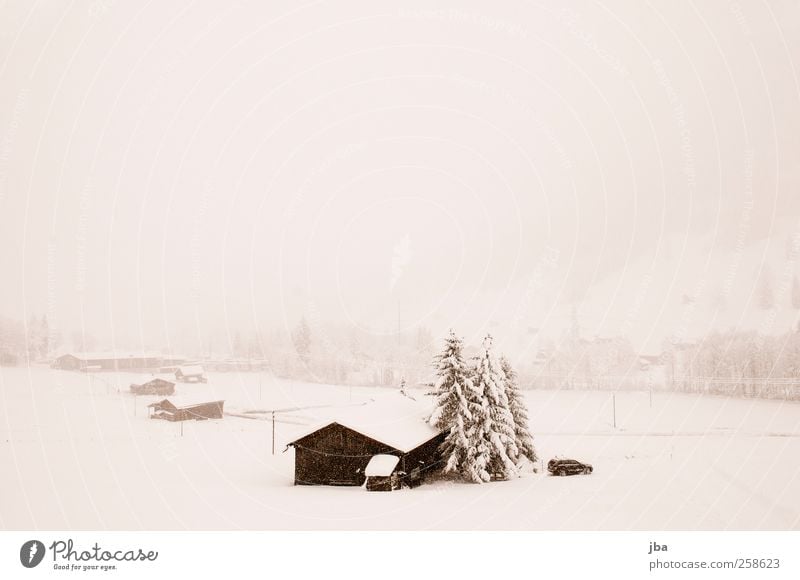 Schneetreiben ruhig Winter Winterurlaub Berge u. Gebirge Haus Natur Landschaft Urelemente Wasser Schönes Wetter Sturm Nebel Schneefall Tanne Alpen Saanenland