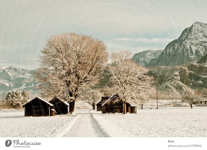 winterlandschaft Natur Landschaft Erde Himmel Wolken Winter Schönes Wetter Eis Frost Schnee Pflanze Baum Sträucher Wiese Feld Wald Hügel Felsen Berge u. Gebirge