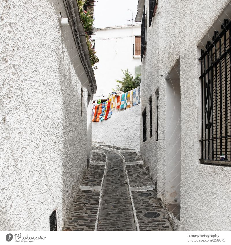 Streets of Andalusia [III] Ferien & Urlaub & Reisen Tourismus Frigiliana weißes Dorf Andalusien Spanien Fischerdorf Haus Mauer Wand Wege & Pfade Gasse Teppich