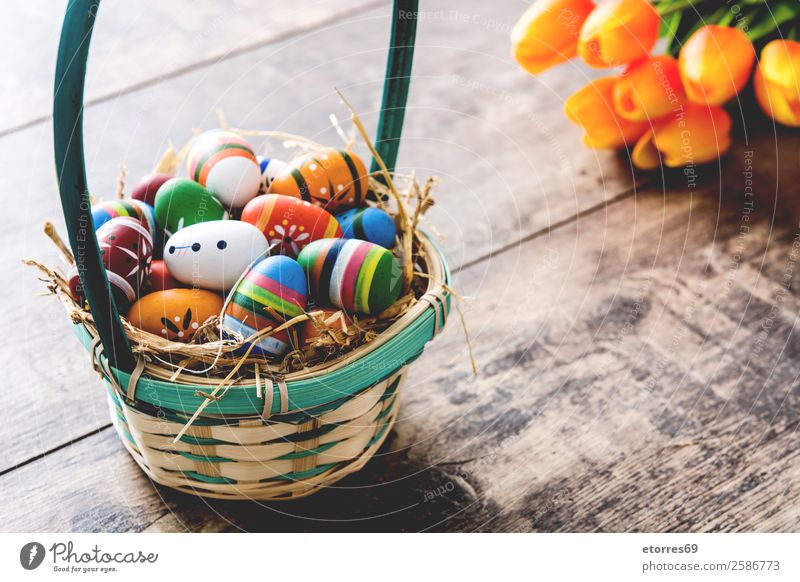 Ostereier im Korb und Tulpen Ostern Ei Farbe Ferien & Urlaub & Reisen Feste & Feiern Feiertag Hintergrundbild Gast Dekoration & Verzierung festlich Frühling