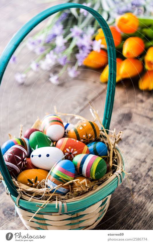 Ostereier im Korb und Tulpen Ostern Ei Farbe Ferien & Urlaub & Reisen Feste & Feiern Feiertag Hintergrundbild Gast Dekoration & Verzierung festlich Frühling