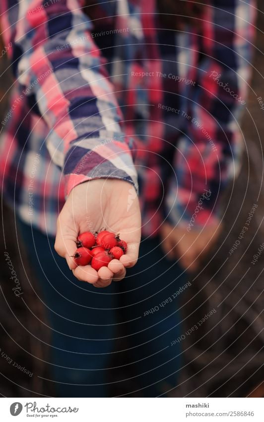 Kind mit Herbstbeeren Freude schön Erholung Spielen Ferien & Urlaub & Reisen Sommer Frau Erwachsene Kindheit Natur Hemd Lächeln lachen Fröhlichkeit natürlich