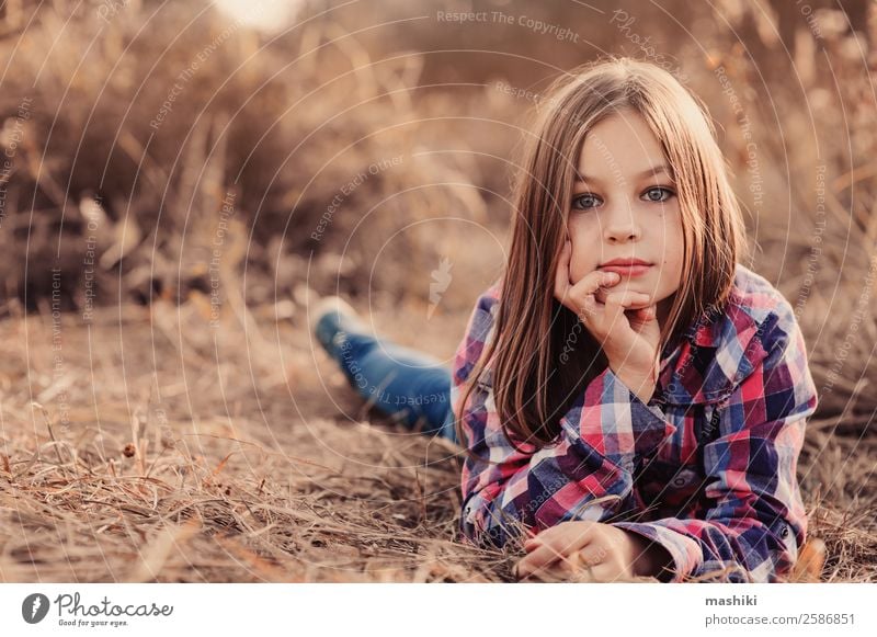 bezauberndes Kind Mädchen auf sonnigem Sommerfeld Lifestyle Glück schön Gesicht Erholung Ferien & Urlaub & Reisen Sonne Frau Erwachsene Kindheit Natur Herbst