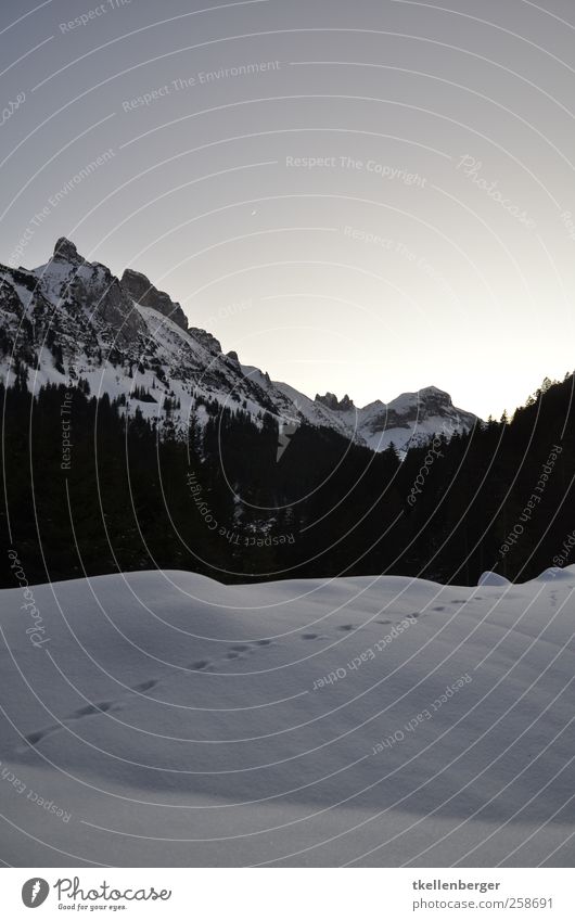 Winteralpen Natur Landschaft Wolkenloser Himmel Schönes Wetter Eis Frost Schnee Baum Berge u. Gebirge Alpstein Gipfel schwarz weiß Fährte Schneespur Abdruck