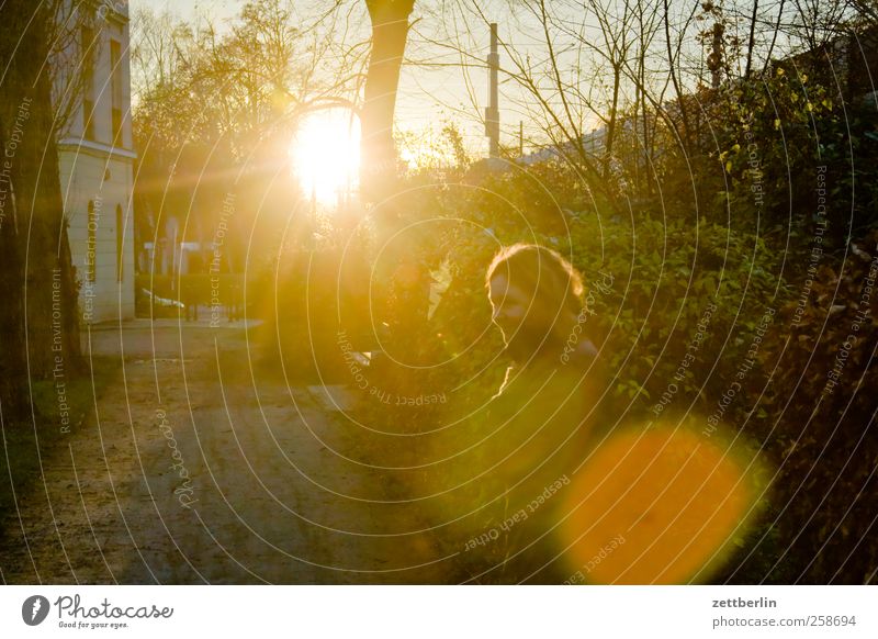 Sonne Freizeit & Hobby Ausflug Abenteuer Garten Frau Erwachsene Kopf 1 Mensch Umwelt Natur Landschaft Herbst Winter Klima Klimawandel Wetter Schönes Wetter Park