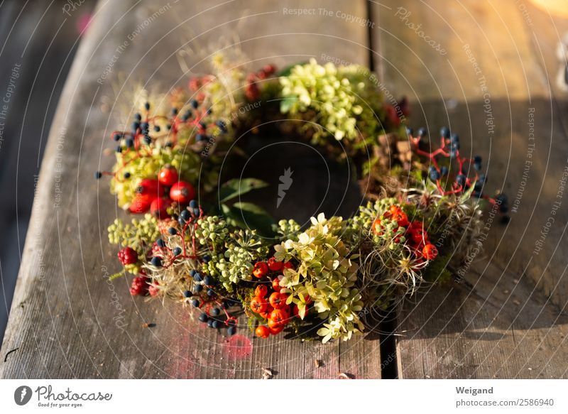 Herbstkranz II Erntedankfest frisch Gesundheit achtsam Gelassenheit ruhig Kranz Gesteck Blume Blumenstrauß Hagebutten Geschenk rund Kreis Trauer Zuneigung