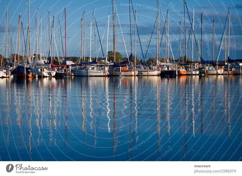 Segelboote an der Ostsee Segeln Wasserfahrzeug Motorboot ankern Anlegestelle Rerik Steg Hafen botssteg salzhaff See Gewässer Blauer Himmel