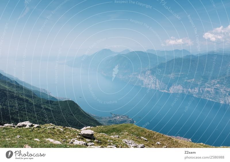 Lago di Garda Umwelt Natur Landschaft Himmel Sommer Schönes Wetter Berge u. Gebirge Seeufer gigantisch Unendlichkeit nachhaltig blau grün