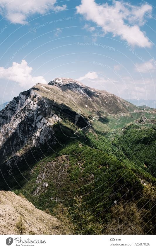 Monte Baldo | Italien Umwelt Natur Landschaft Himmel Wolken Sonne Sommer Schönes Wetter Wald Alpen Berge u. Gebirge Gipfel hoch natürlich blau grün Energie