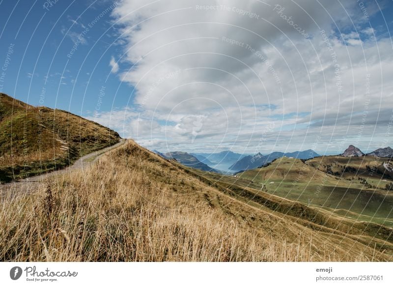 Aussicht von Hoch-Ybrig Umwelt Natur Landschaft Sommer Schönes Wetter Alpen Berge u. Gebirge natürlich blau grün Tourismus Schweiz Vierwaldstätter See