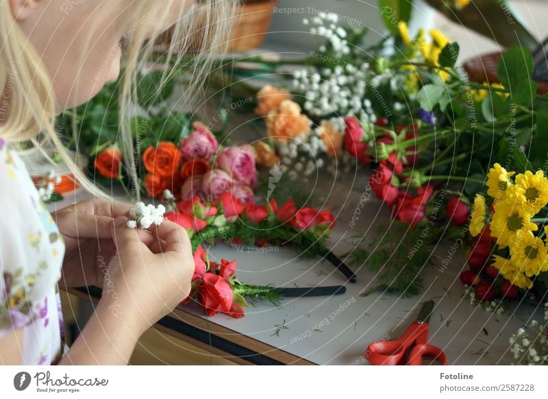 Blumenkranzbastelei Mensch feminin Kind Mädchen Kindheit Haut Kopf Haare & Frisuren Gesicht Arme Hand Finger Sommer Pflanze Rose Blüte frisch natürlich