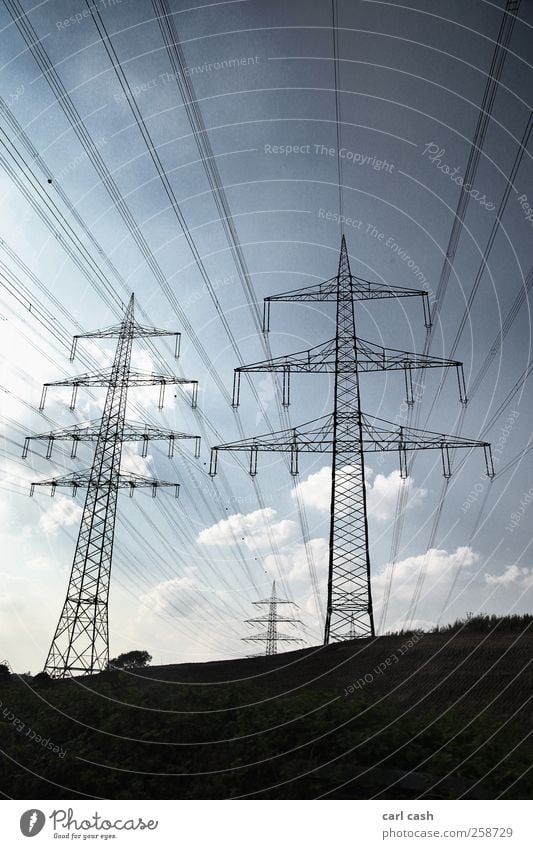 Strommasten Hochspannungsleitung Elektrizität Landschaft Himmel Sommer blau schwarz Perspektive Umweltschutz Strukturen & Formen Linie Farbfoto Gedeckte Farben