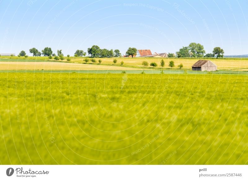 agricultural scenery at spring time Landwirtschaft Forstwirtschaft Landschaft Pflanze Frühling Baum Sträucher Wiese Feld Wachstum nachhaltig friedlich Idylle