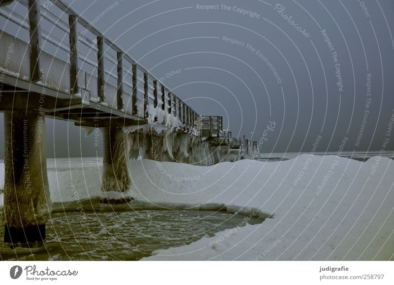 Winter Umwelt Natur Landschaft Himmel Klima Eis Frost Schnee Küste Ostsee Darß Wustrow Bauwerk Brücke kalt Stimmung Farbfoto Gedeckte Farben Außenaufnahme