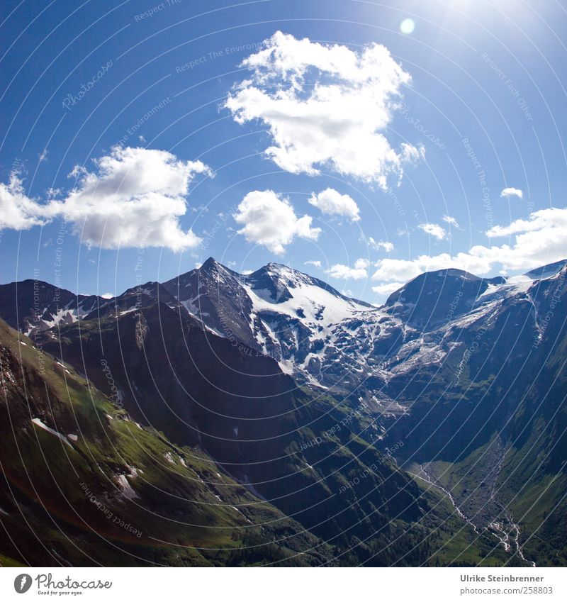 Berg und Tal Natur Landschaft Pflanze Luft Himmel Wolken Sonne Sommer Schönes Wetter Schnee Sträucher Moos Alpen Berge u. Gebirge Hohe Dock Großglockner