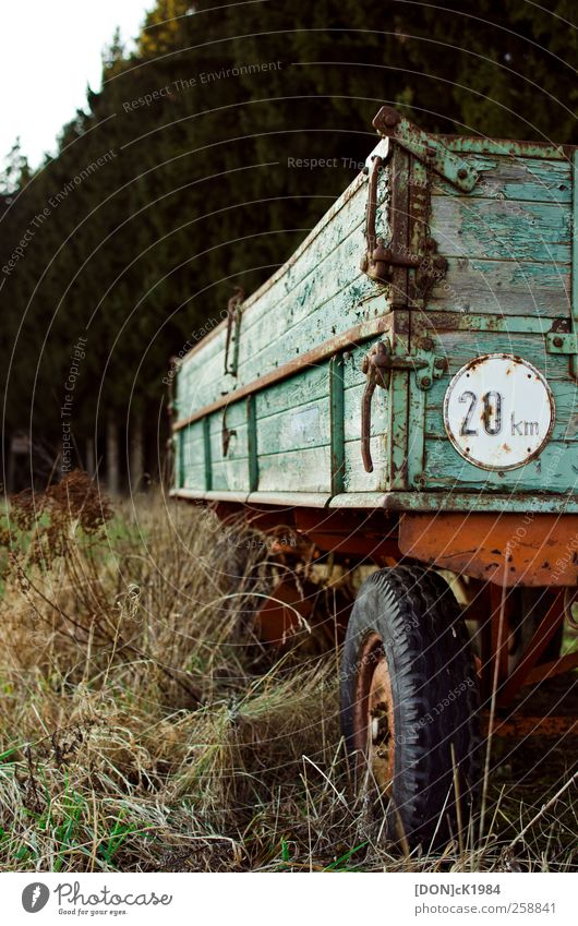 festgefahren/deadlocked Umwelt Natur Gras Wald Güterverkehr & Logistik Fahrzeug Anhänger Verkehrszeichen alt grün rot Gelassenheit Farbfoto Außenaufnahme Tag